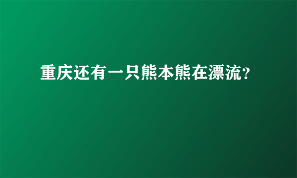 重庆还有一只熊本熊在漂流？