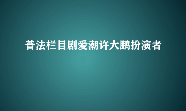 普法栏目剧爱潮许大鹏扮演者