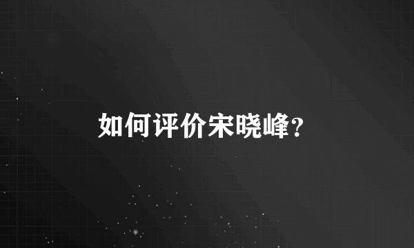 如何评价宋晓峰？