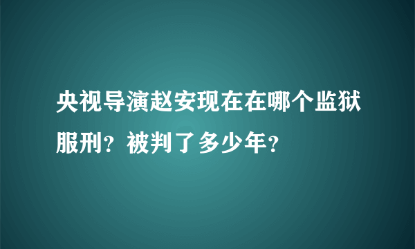 央视导演赵安现在在哪个监狱服刑？被判了多少年？