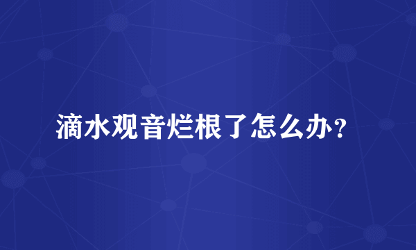 滴水观音烂根了怎么办？