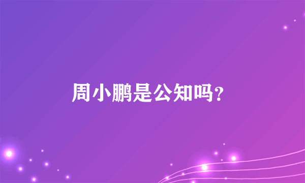 周小鹏是公知吗？