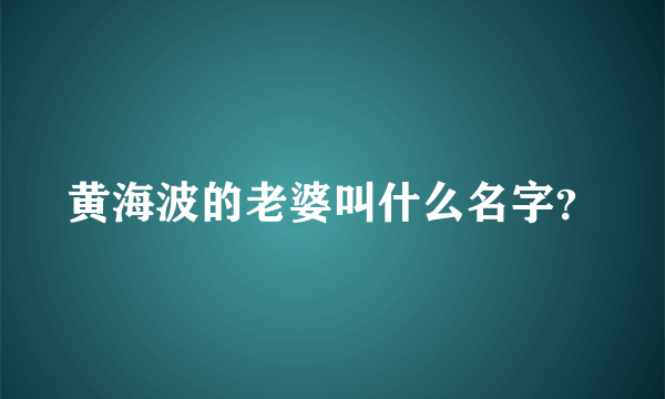 黄海波的老婆叫什么名字？