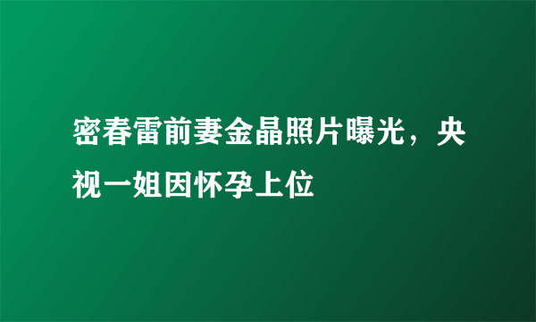 密春雷前妻金晶照片曝光，央视一姐因怀孕上位 