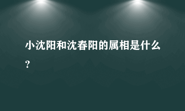 小沈阳和沈春阳的属相是什么？