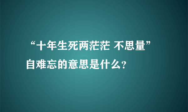 “十年生死两茫茫 不思量” 自难忘的意思是什么？