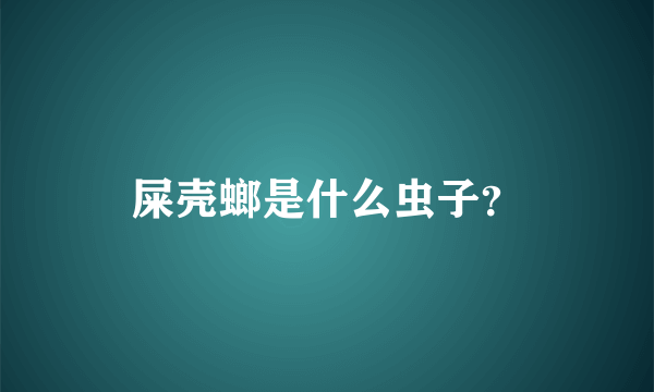 屎壳螂是什么虫子？