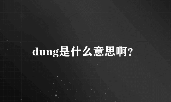 dung是什么意思啊？