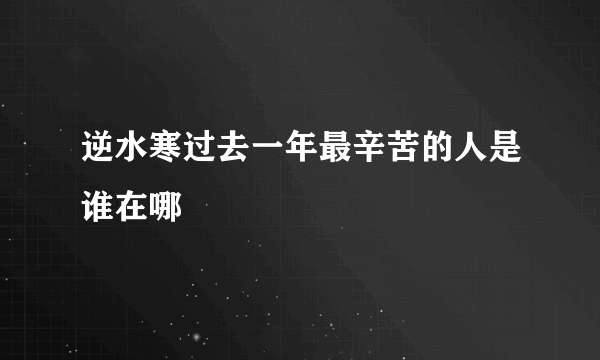 逆水寒过去一年最辛苦的人是谁在哪