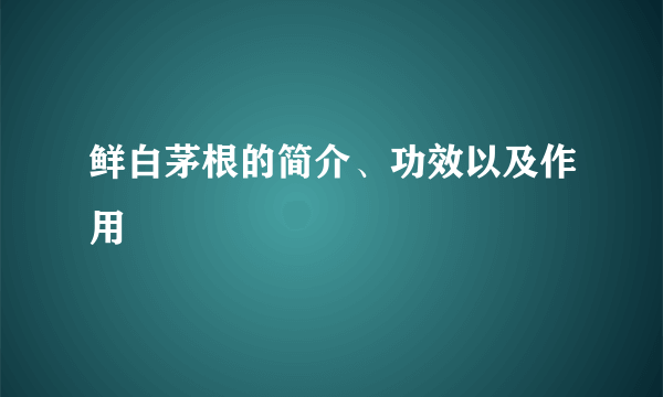 鲜白茅根的简介、功效以及作用