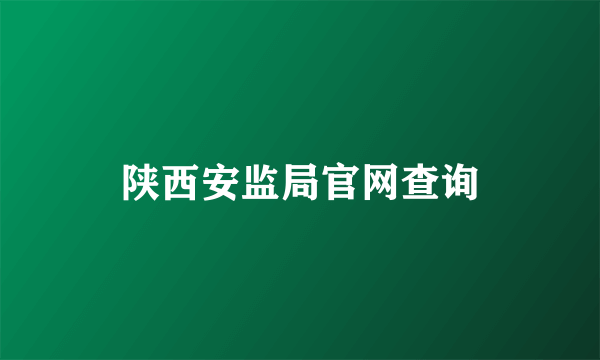 陕西安监局官网查询