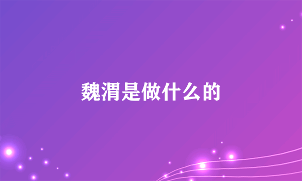 魏渭是做什么的