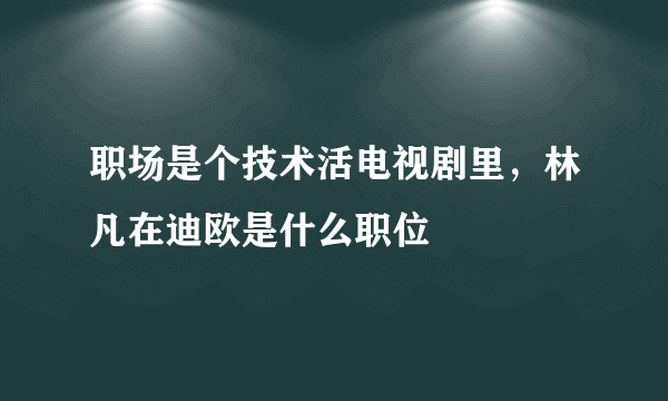 职场是个技术活电视剧里，林凡在迪欧是什么职位