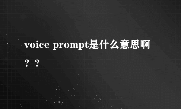 voice prompt是什么意思啊？？