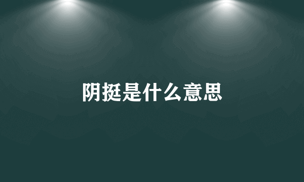 阴挺是什么意思