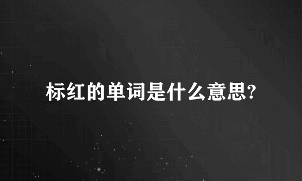 标红的单词是什么意思?