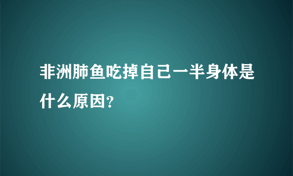 非洲肺鱼吃掉自己一半身体是什么原因？