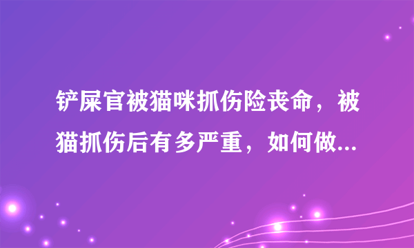 铲屎官被猫咪抓伤险丧命，被猫抓伤后有多严重，如何做到科学“撸猫”？