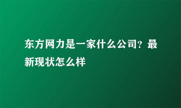 东方网力是一家什么公司？最新现状怎么样