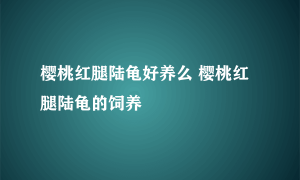 樱桃红腿陆龟好养么 樱桃红腿陆龟的饲养