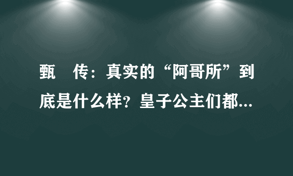 甄嬛传：真实的“阿哥所”到底是什么样？皇子公主们都在里面干些什么呢？