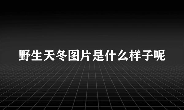 野生天冬图片是什么样子呢