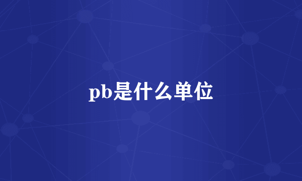 pb是什么单位