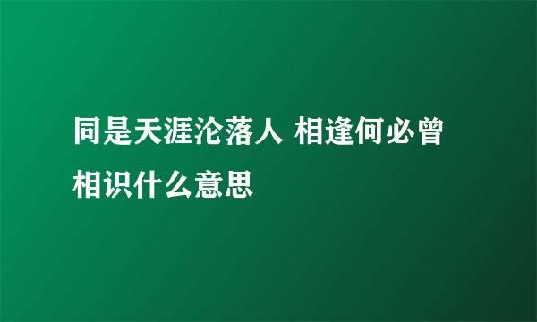 同是天涯沦落人 相逢何必曾相识什么意思