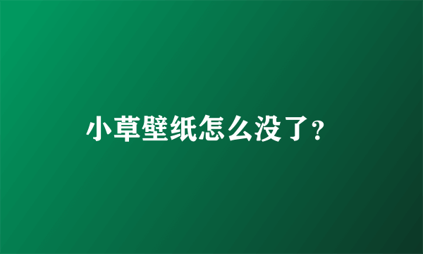 小草壁纸怎么没了？