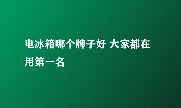 电冰箱哪个牌子好 大家都在用第一名