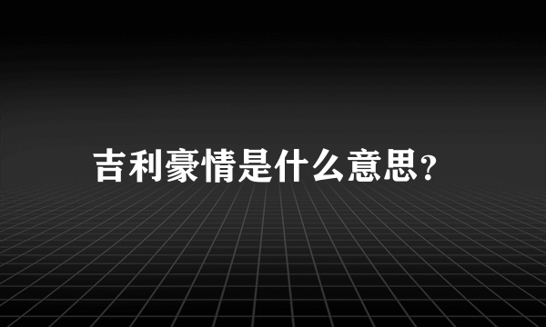 吉利豪情是什么意思？