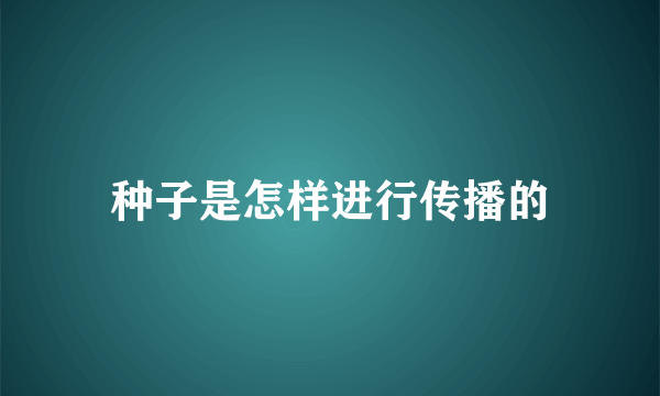 种子是怎样进行传播的