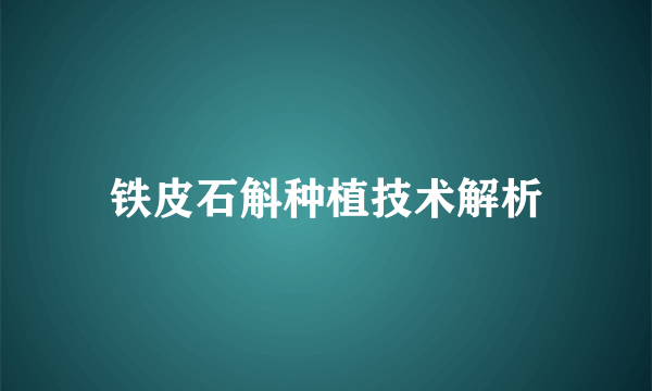 铁皮石斛种植技术解析