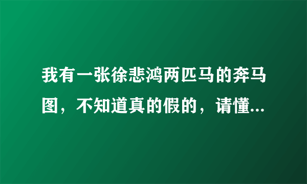 我有一张徐悲鸿两匹马的奔马图，不知道真的假的，请懂得朋友鉴定一下，