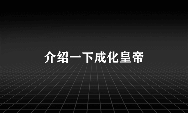 介绍一下成化皇帝