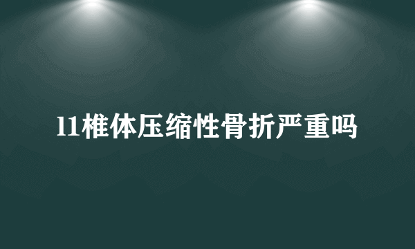 l1椎体压缩性骨折严重吗