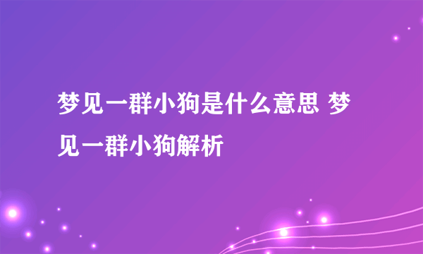 梦见一群小狗是什么意思 梦见一群小狗解析