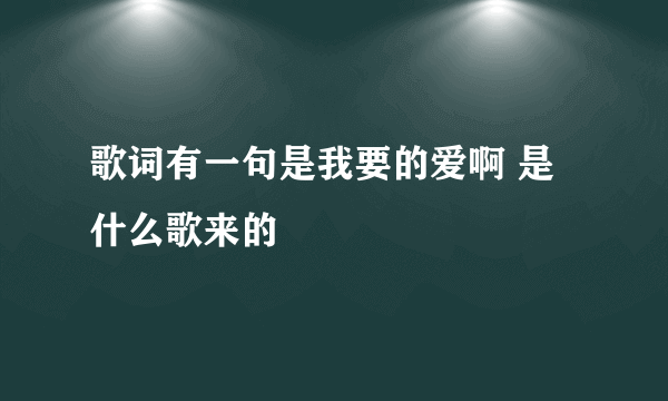 歌词有一句是我要的爱啊 是什么歌来的