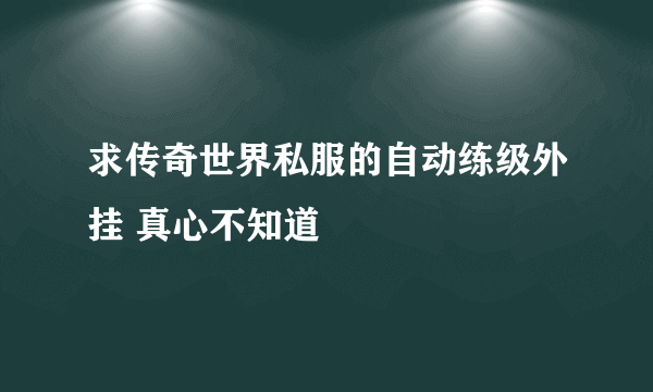 求传奇世界私服的自动练级外挂 真心不知道