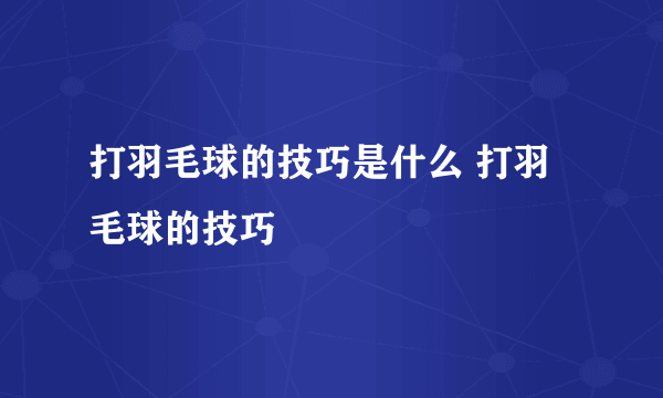 打羽毛球的技巧是什么 打羽毛球的技巧