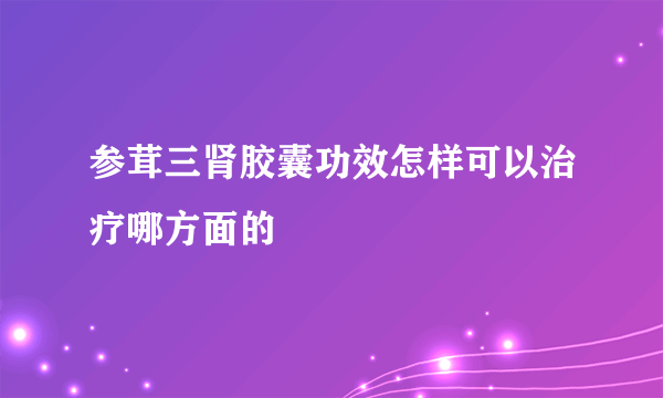 参茸三肾胶囊功效怎样可以治疗哪方面的