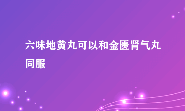 六味地黄丸可以和金匮肾气丸同服