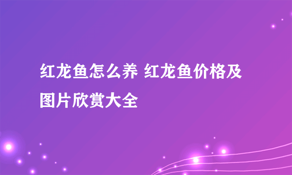 红龙鱼怎么养 红龙鱼价格及图片欣赏大全