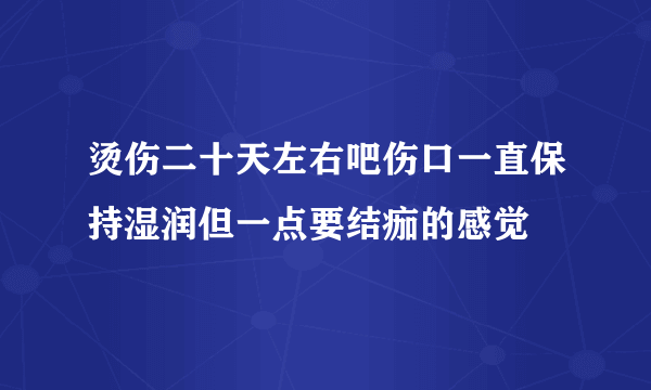 烫伤二十天左右吧伤口一直保持湿润但一点要结痂的感觉