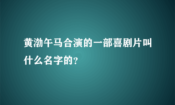 黄渤午马合演的一部喜剧片叫什么名字的？