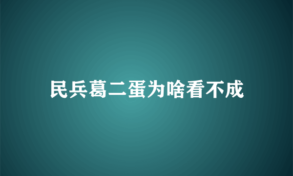 民兵葛二蛋为啥看不成