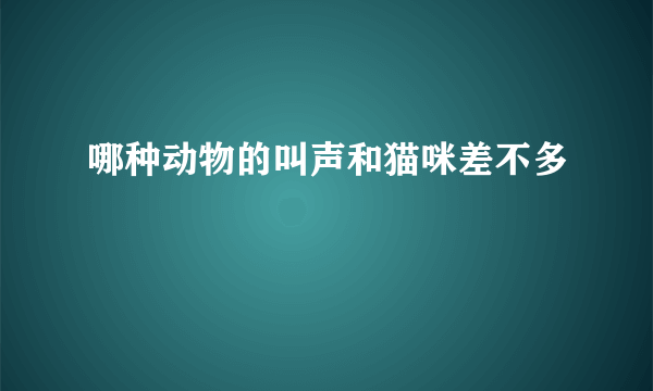 哪种动物的叫声和猫咪差不多