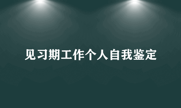 见习期工作个人自我鉴定