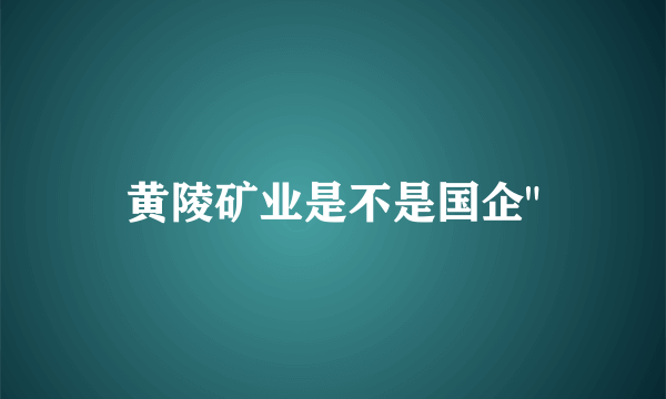 黄陵矿业是不是国企