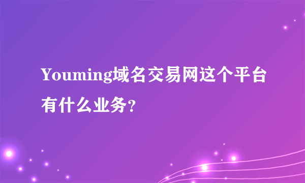 Youming域名交易网这个平台有什么业务？